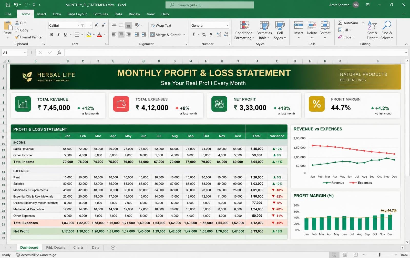 Monthly P&L Statement dashboard preview